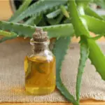 Aloe Vera Herbal Oil