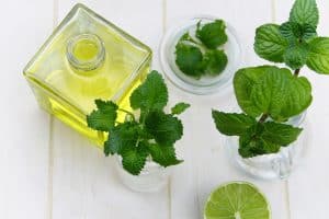 Lemon-balm-oil