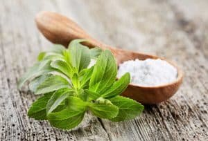 stevia-plant-Extract