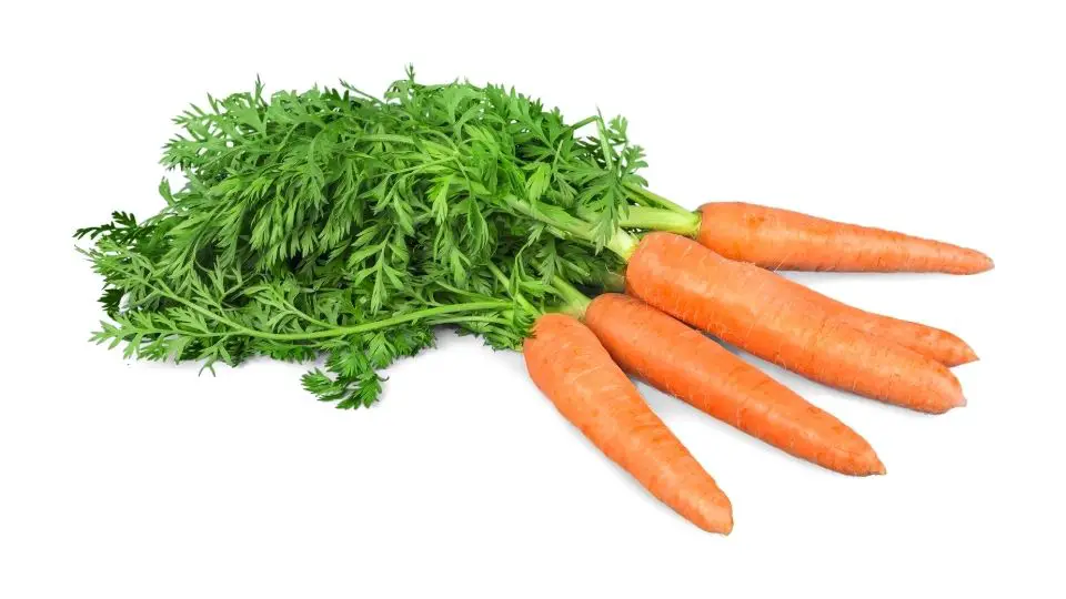 are carrots man made
