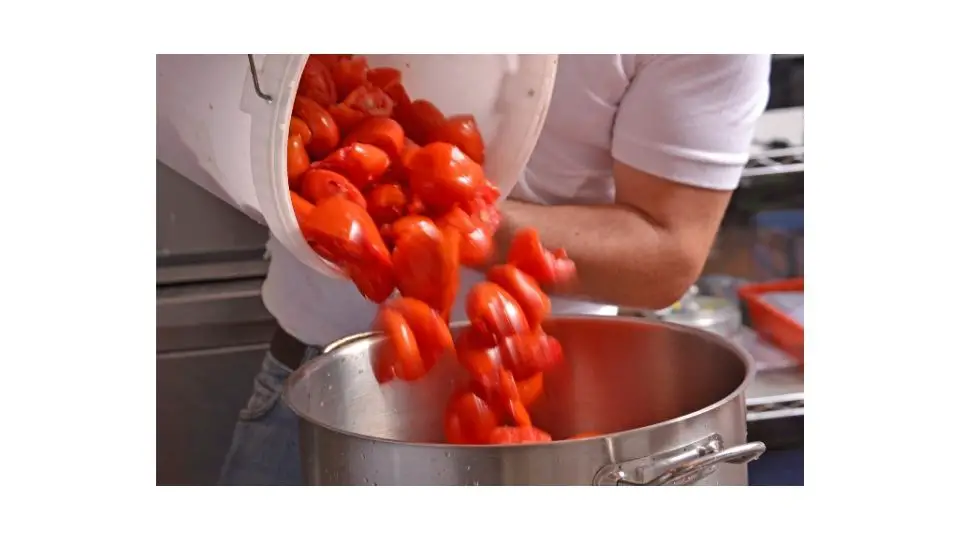 removing lectins from tomatoes