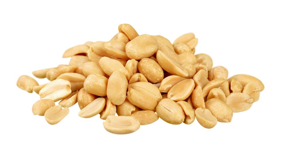 growing peanuts in ohio