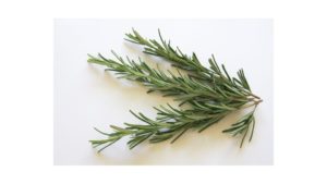 rosemary 